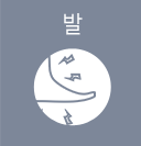 발